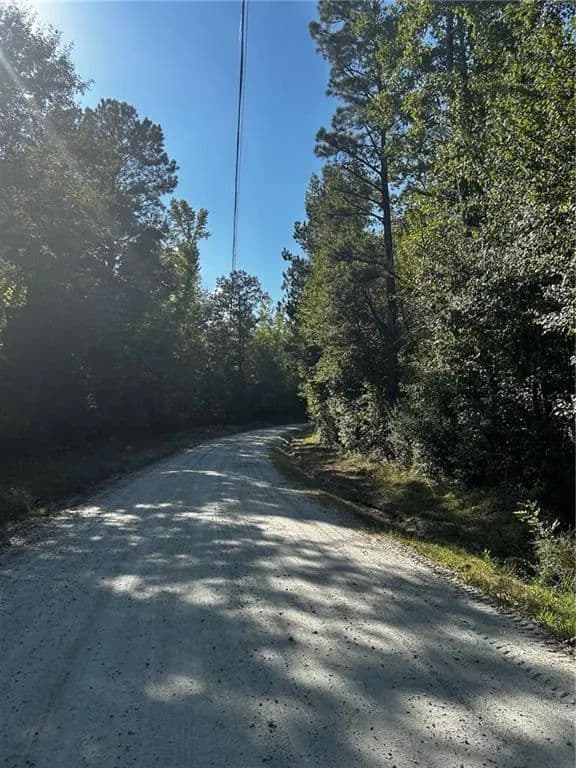 Land -Single Family Acreage in Palmetto - Palmetto, Georgia, 30268