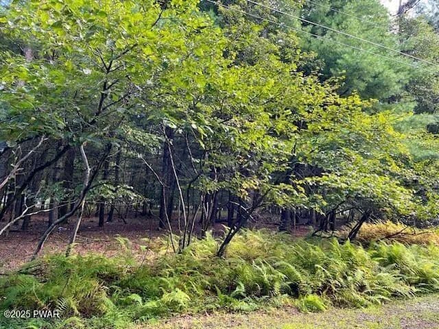 Vacant Land in Dingmans Ferry - Dingmans Ferry, Pennsylvania, 18328