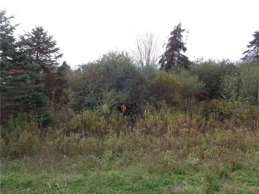 Property from Lot #4 Woodcrest Drive - KW