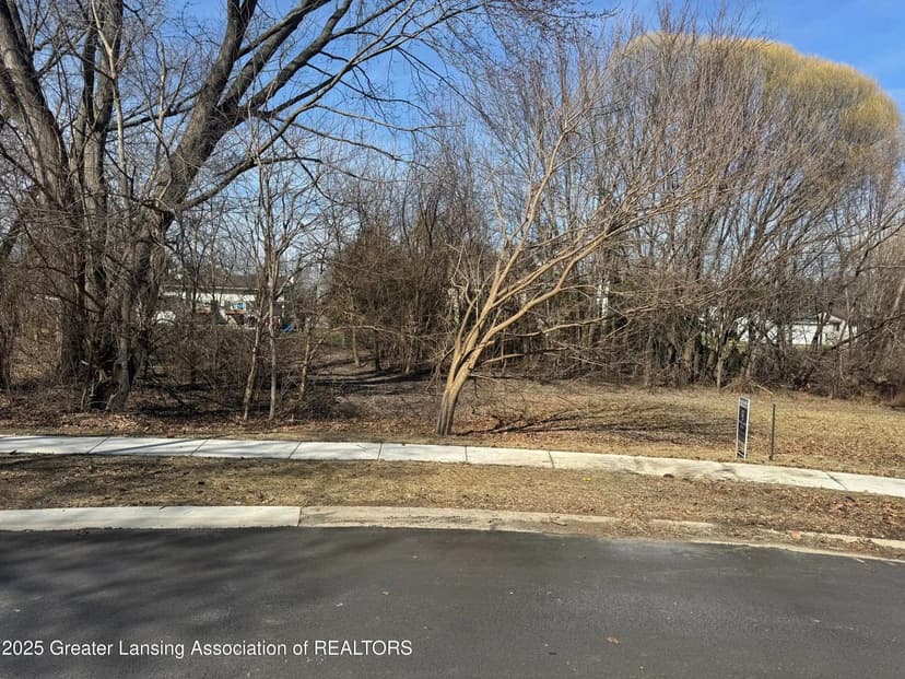 Lots & Land-Other in Mason