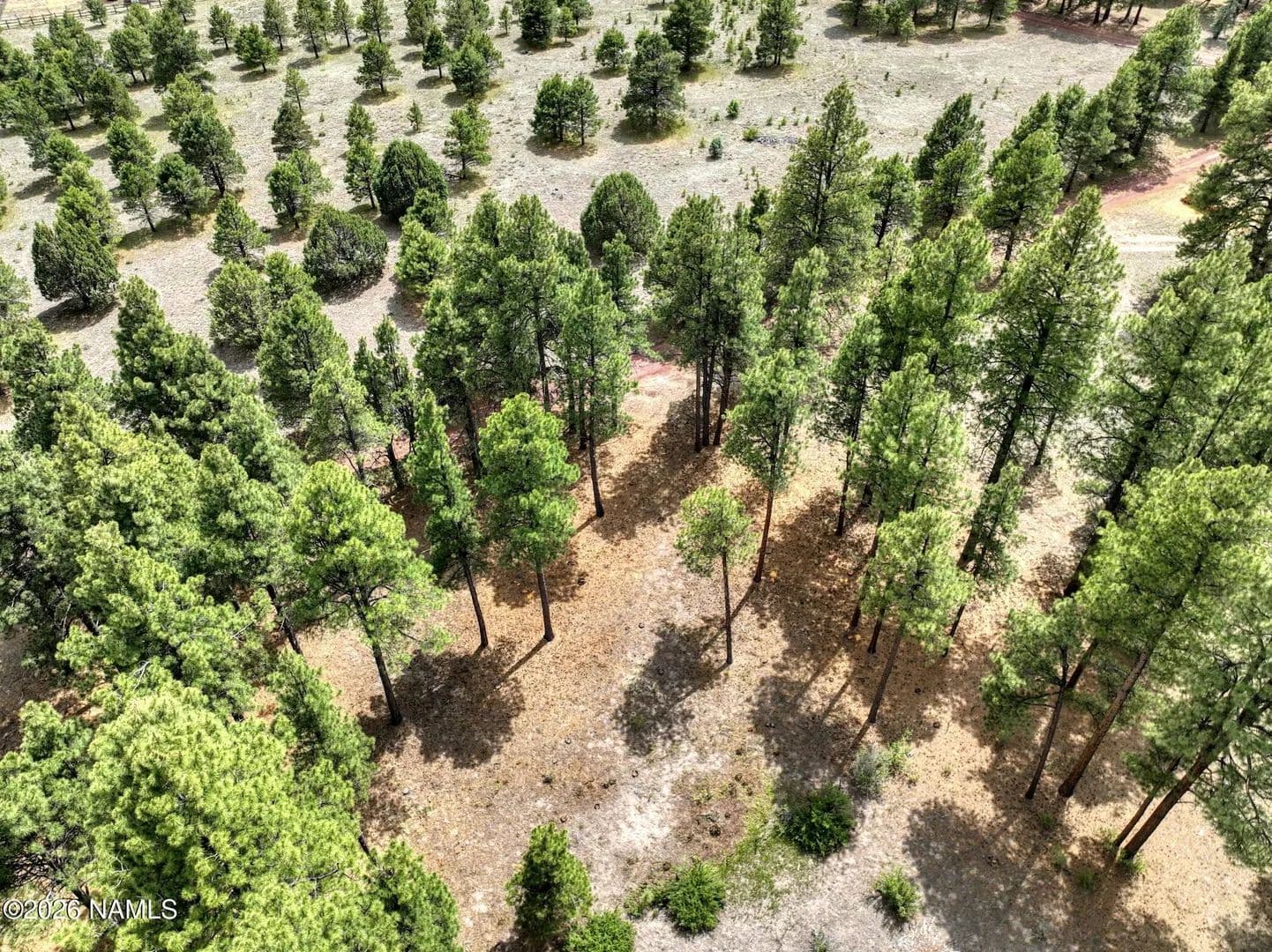 1.55 Acres of Land for Sale in Williams, AZ - Williams, Arizona, 86046