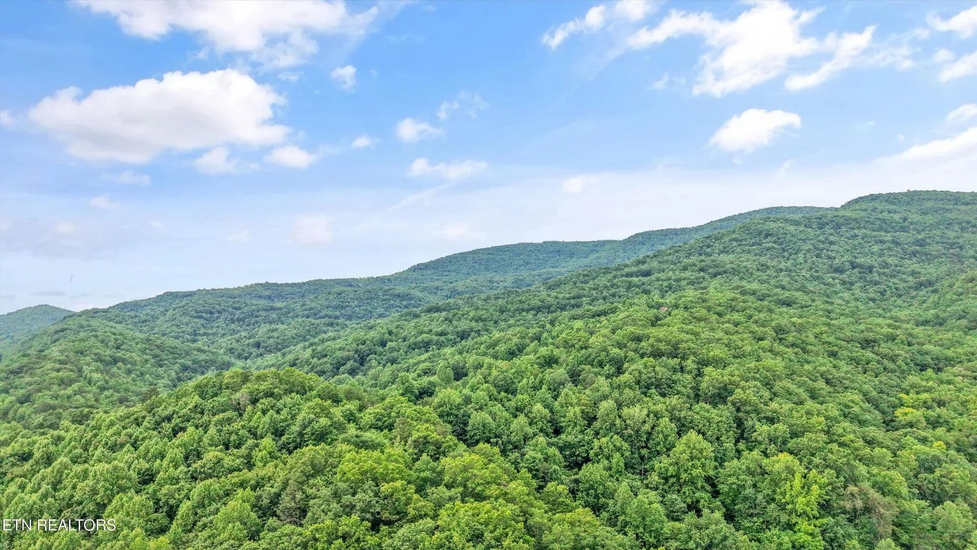 679 Acres of Land for Sale in Caryville, Tennessee - Caryville, Tennessee, 37714