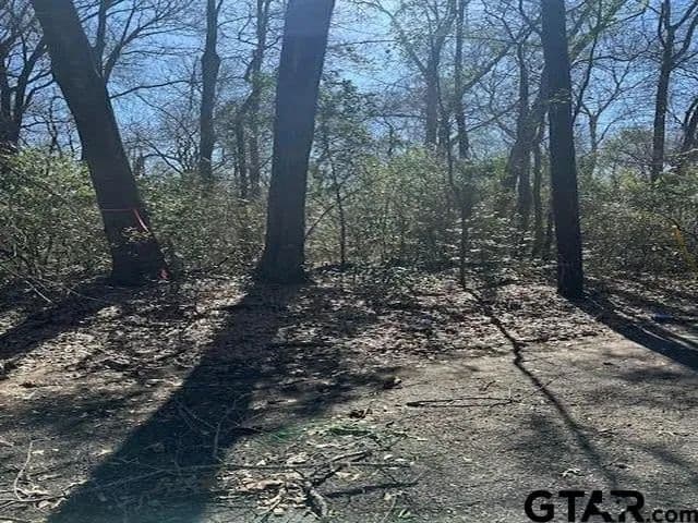Lots & Land-Other in Tyler - Tyler, Texas, 75702
