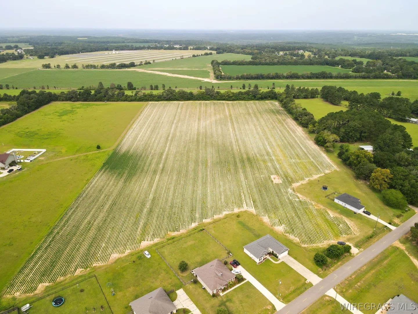 Vacant Land in Newton - Newton, Alabama, 36352