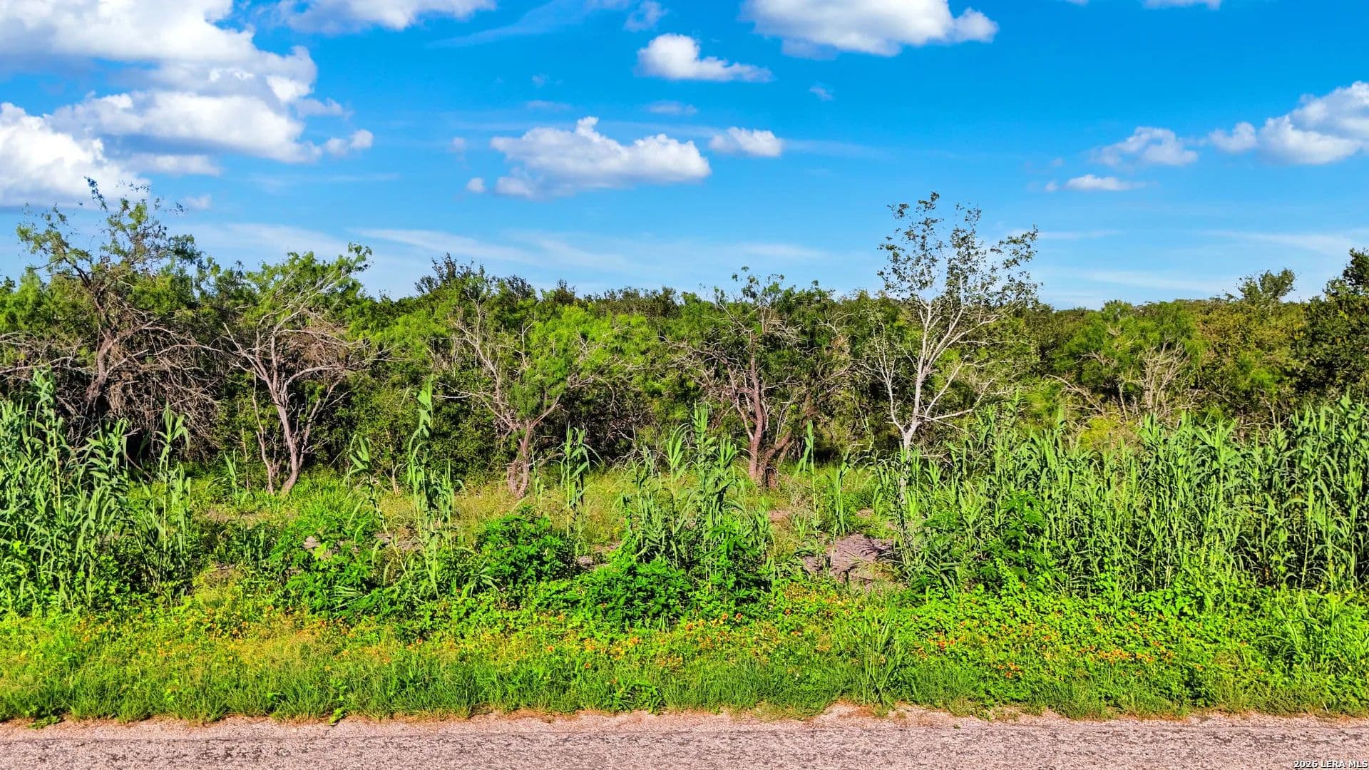 4.56 Acres of Land for Sale in Seguin, TX - Seguin, Texas, 78155