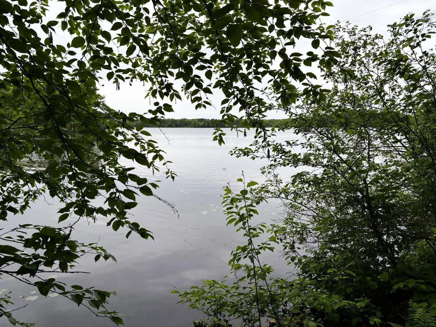 Vacant Land (0-10 Acres) in Oma - Oma, Wisconsin, 54534