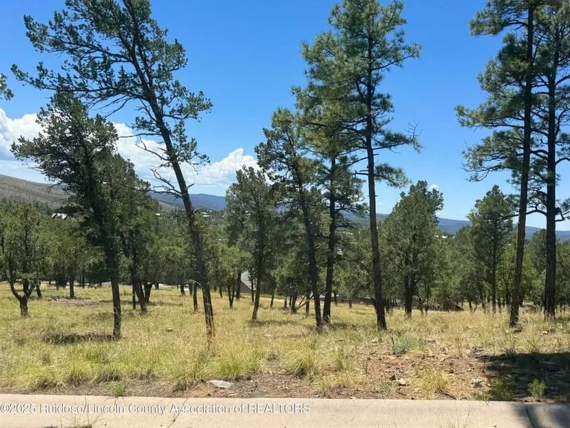 Vacant Land in Ruidoso