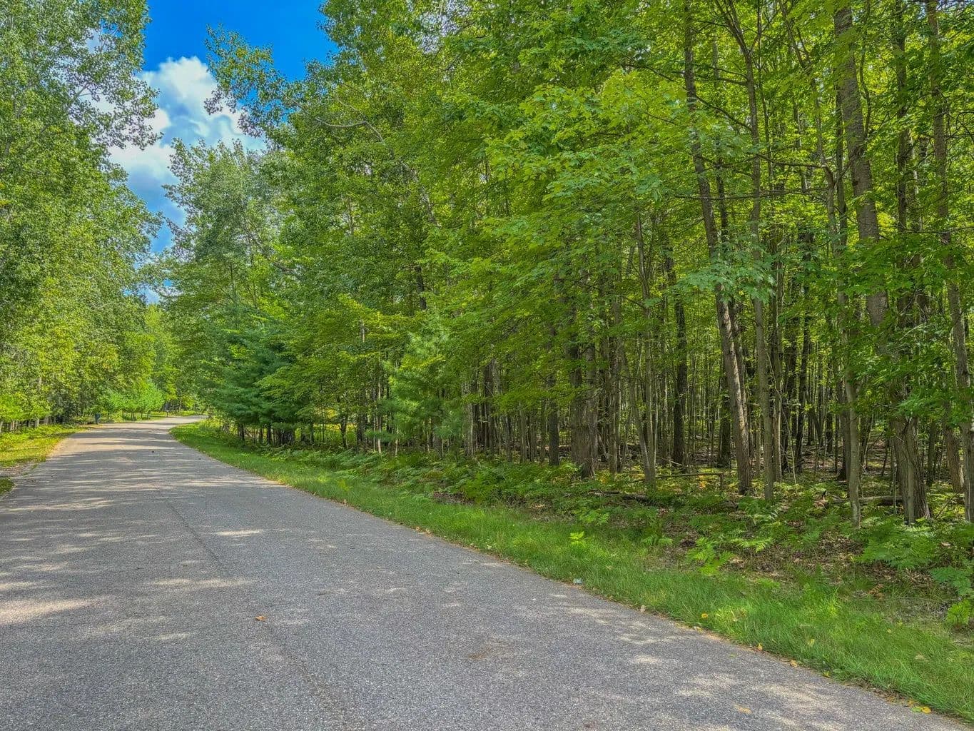 Lots & Land-Other in Canadian Lakes - Canadian Lakes, Michigan, 49346