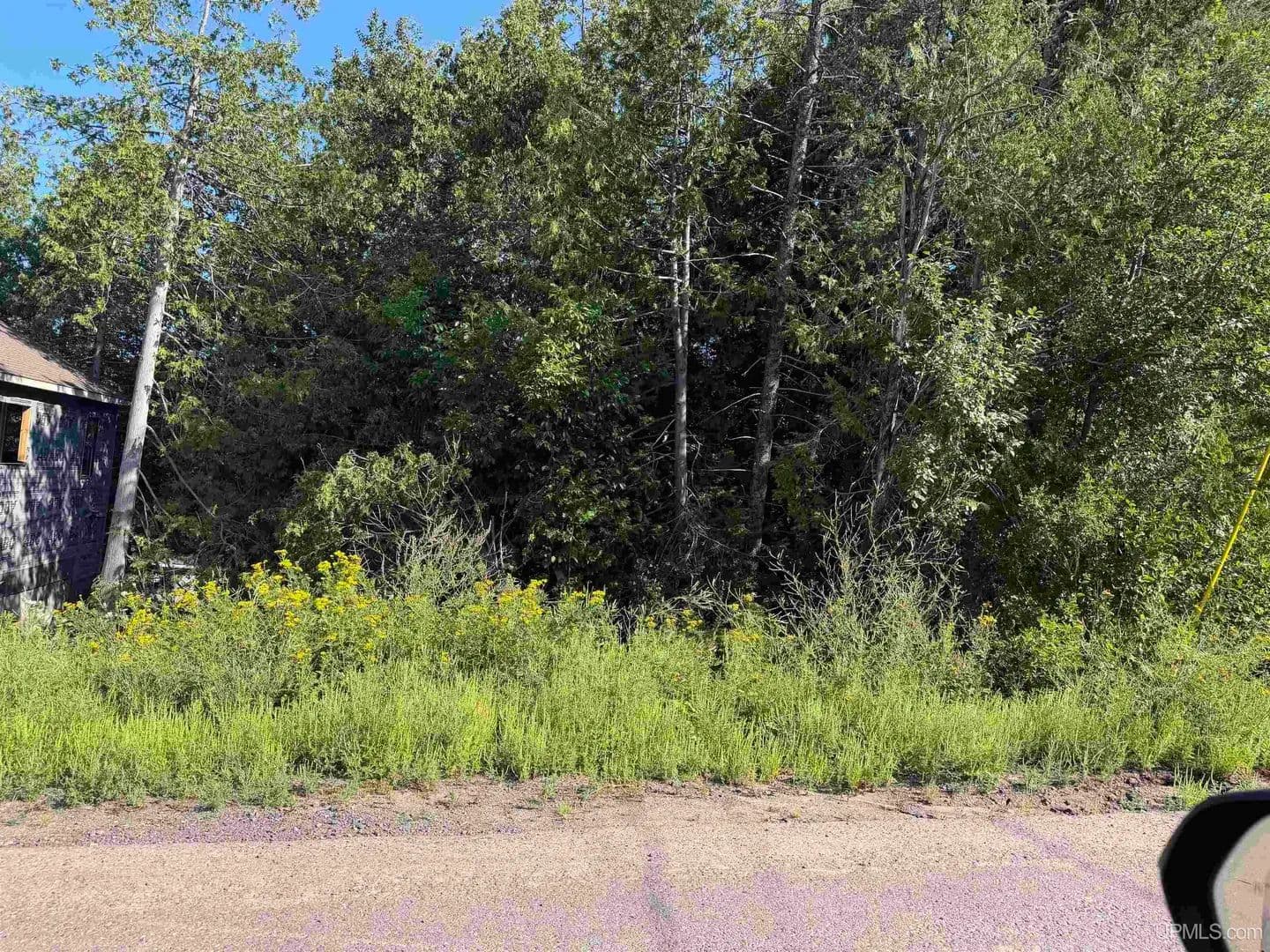 Vacant Land in Houghton - Houghton, Michigan, 49931