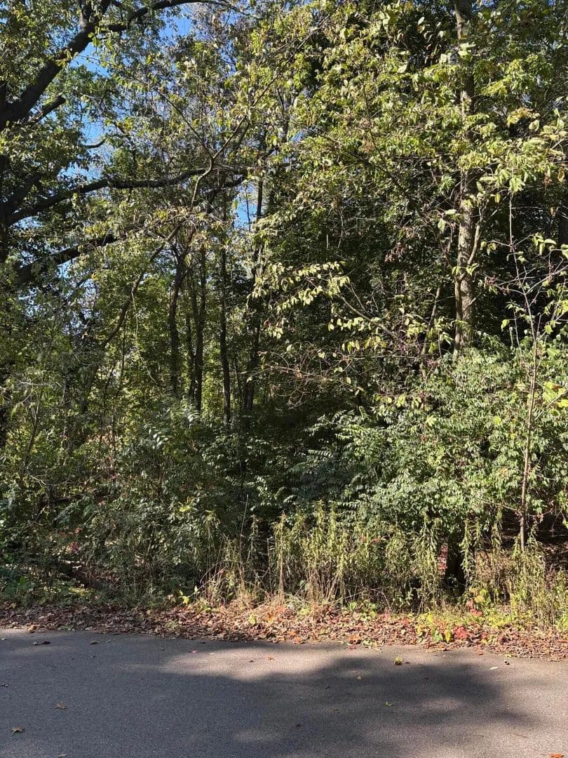 Lots & Land-Other in Kalamazoo