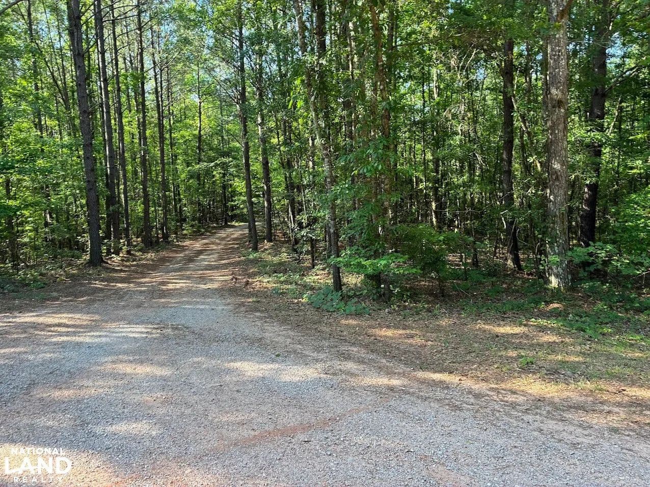 Creek Road Lot 5 - Ashland, Alabama, 36251
