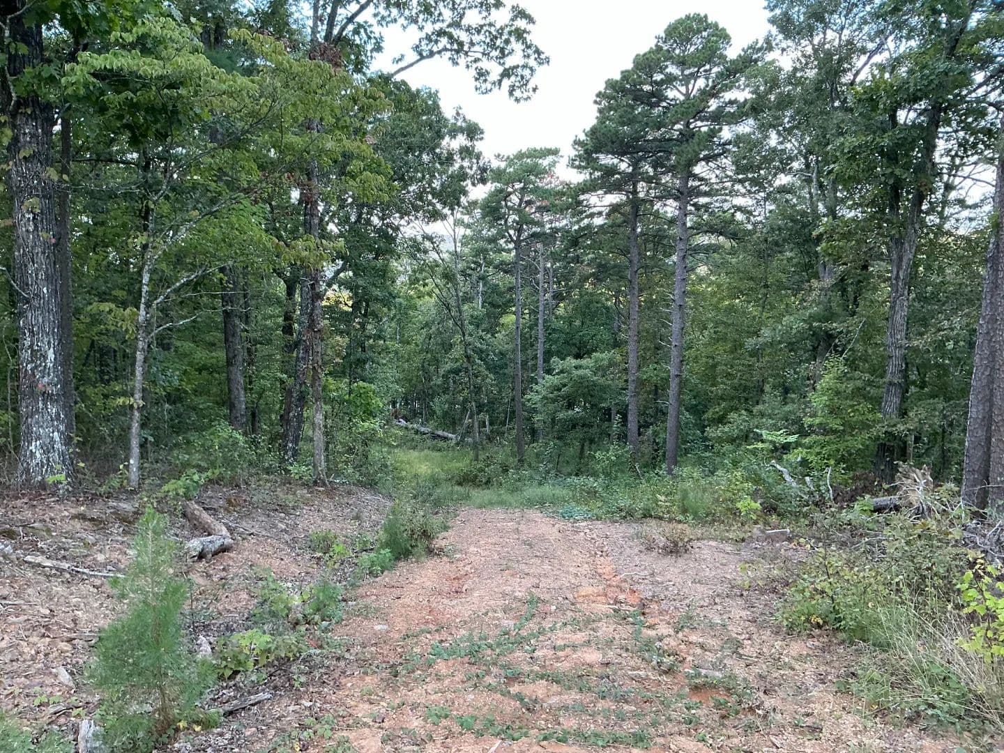 8.82 Acres in Van Buren County, AR  - Dennard, Arkansas, 72629