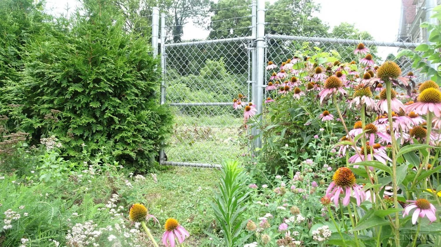 Vacant Land in Cincinnati - Cincinnati, Ohio, 45229