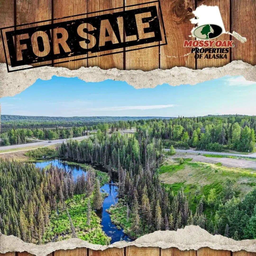 Tr A2 Mackey Lake Rd - Soldotna, Alaska, 99669