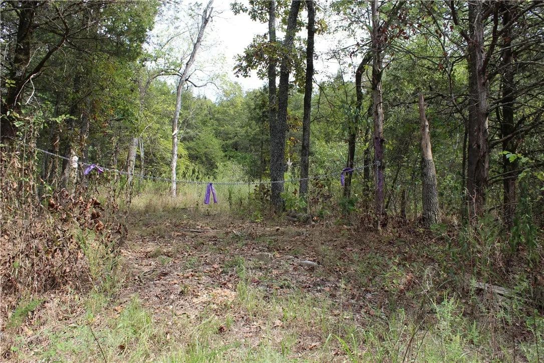 5.19 Acres of Land for Sale in Beaver, AR - land for sale