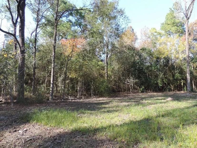 Lots & Land-Other in Houston