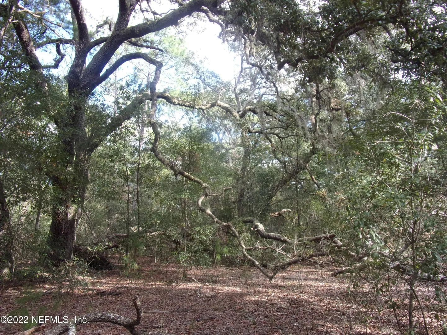 Lots & Land-Other in Interlachen - Interlachen, Florida, 32148