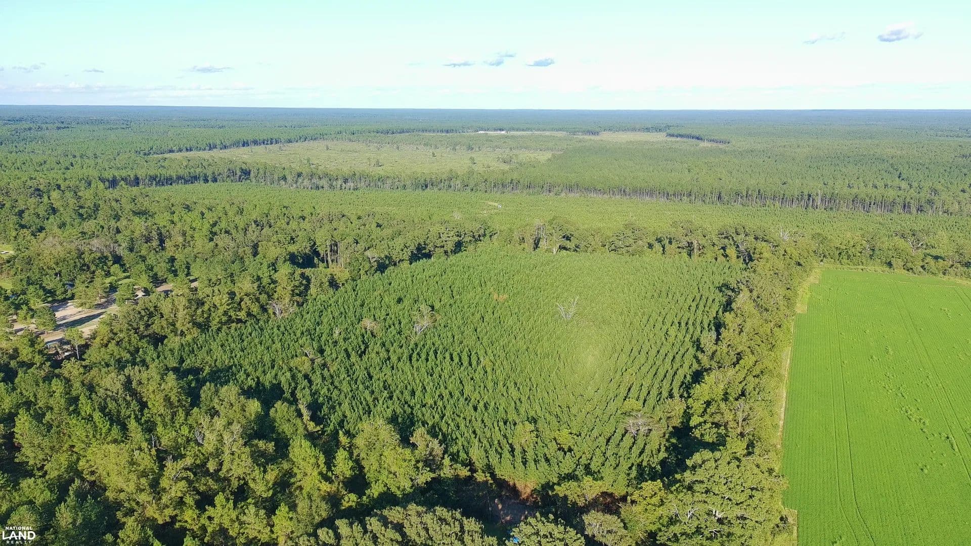 20 Wooded Acres Berrydale - Milton, Florida, 32570