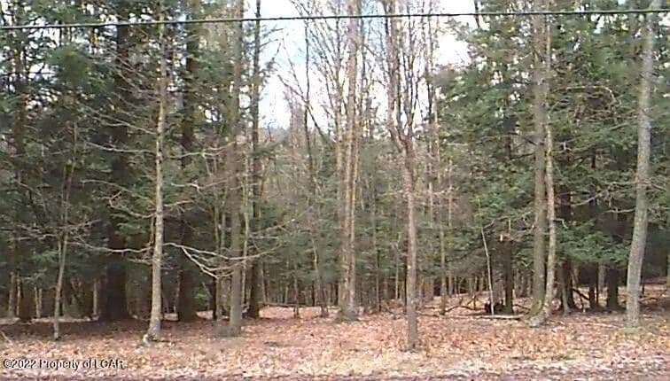 Lots & Land-Other in Hazleton - Hazleton, Pennsylvania, 18202