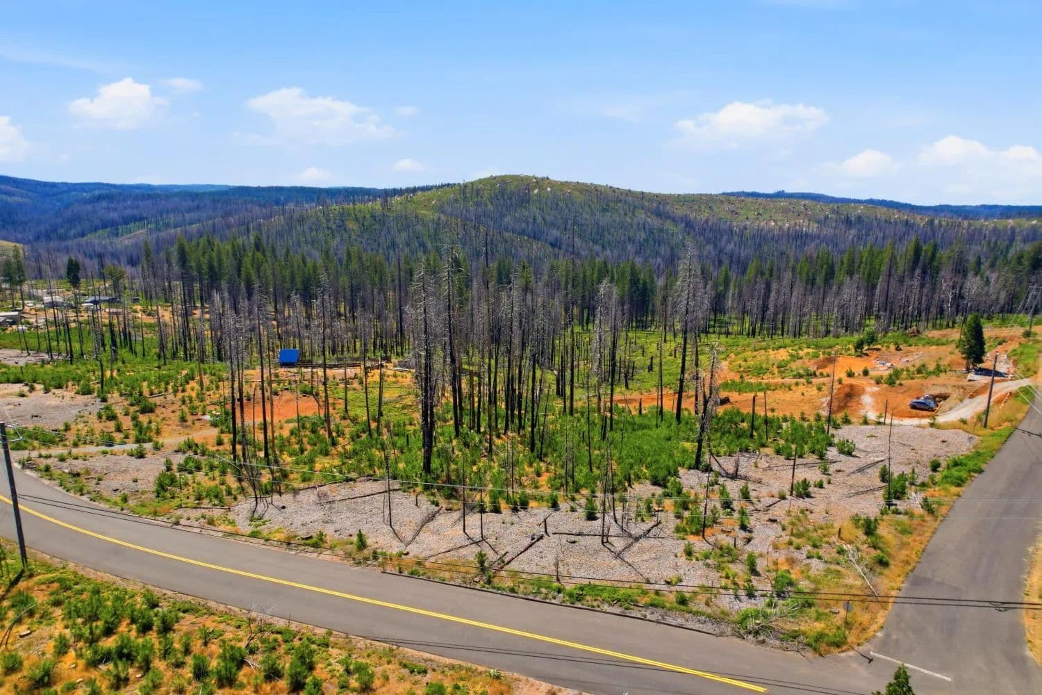 Vacant Land in Grizzly Flats - California, 95636
