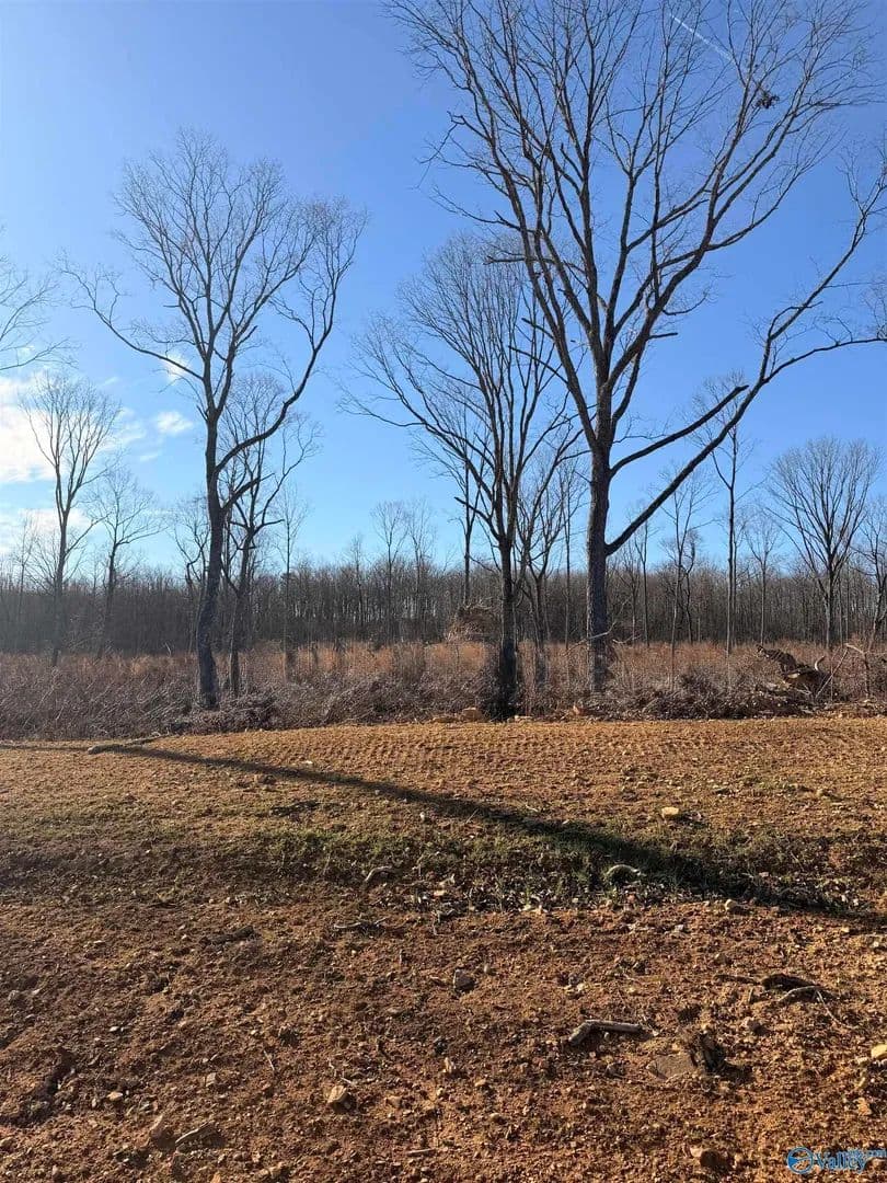 Property from Lot 9 County Road 641 - KW