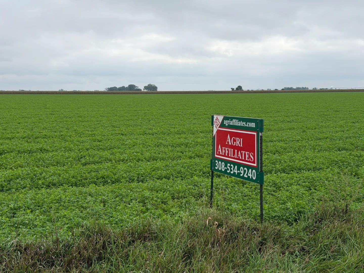Laird Irrigated Farm - Cozad, Nebraska