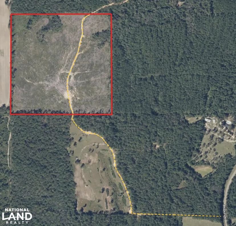 Bradley Hunting and Timber Investment Tract