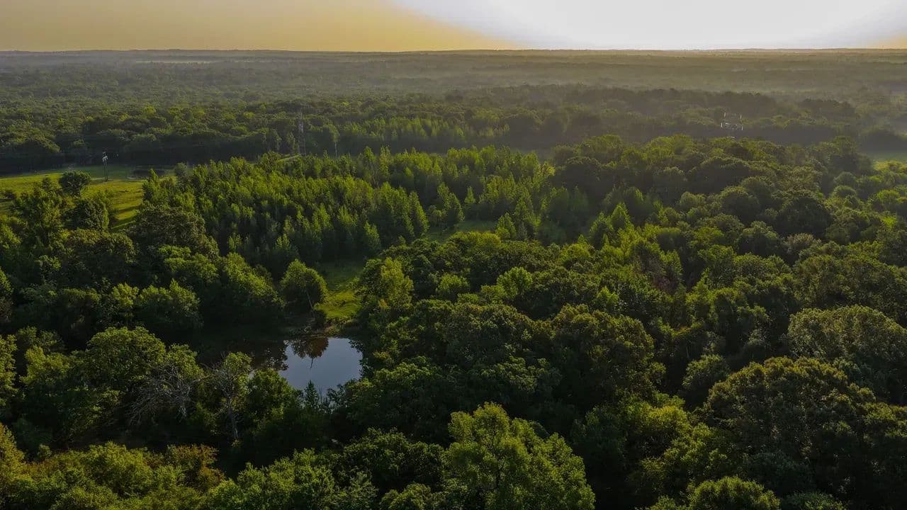 Whispering Pines Ranch - 176.9 acres - Van Zandt County - Ben Wheeler, Texas, 75754