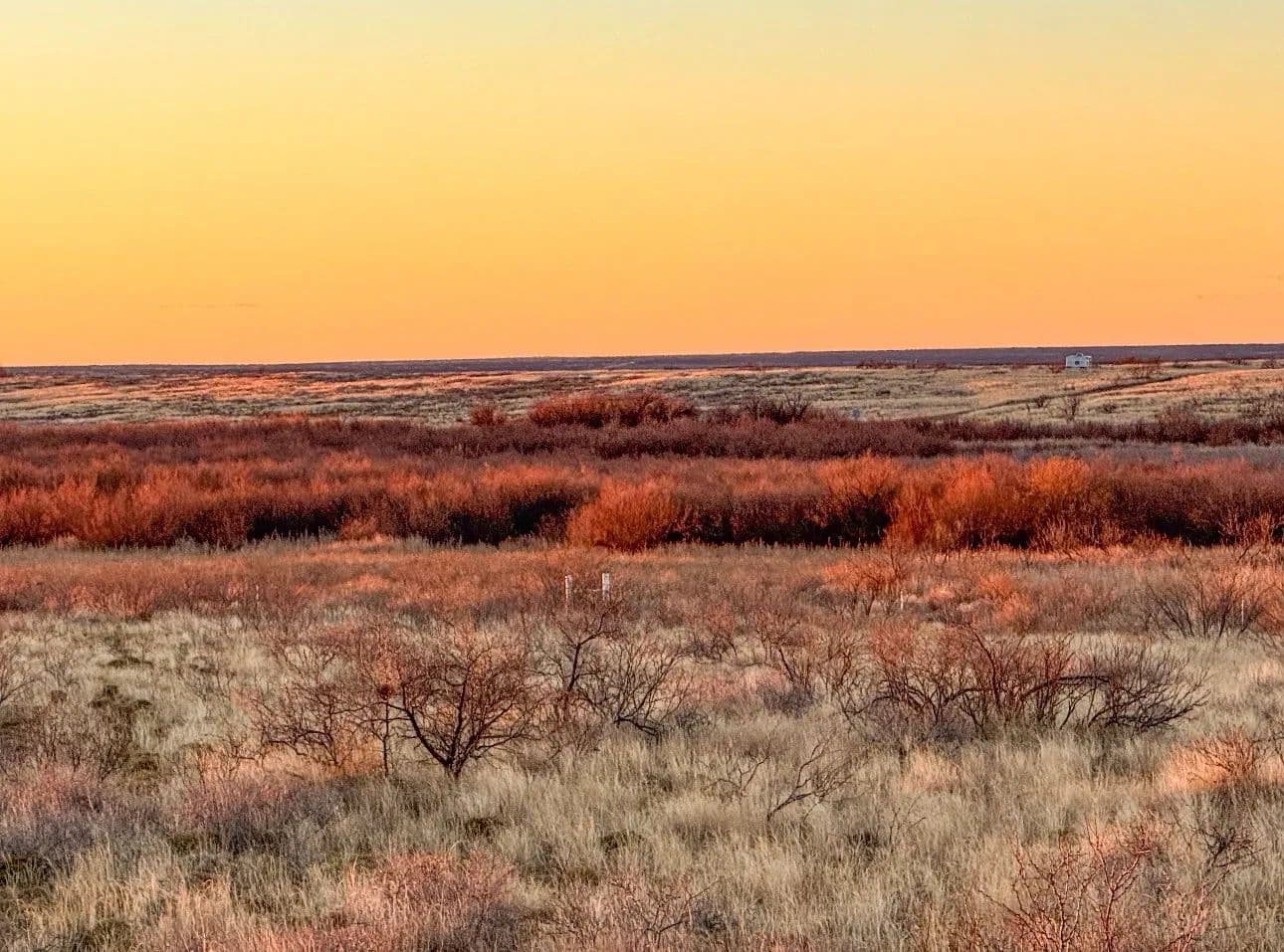 Vacant Land in Brownfield - Brownfield, Texas, 79316