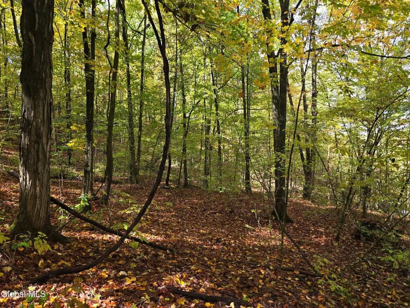 Lots & Land-Other in Ticonderoga