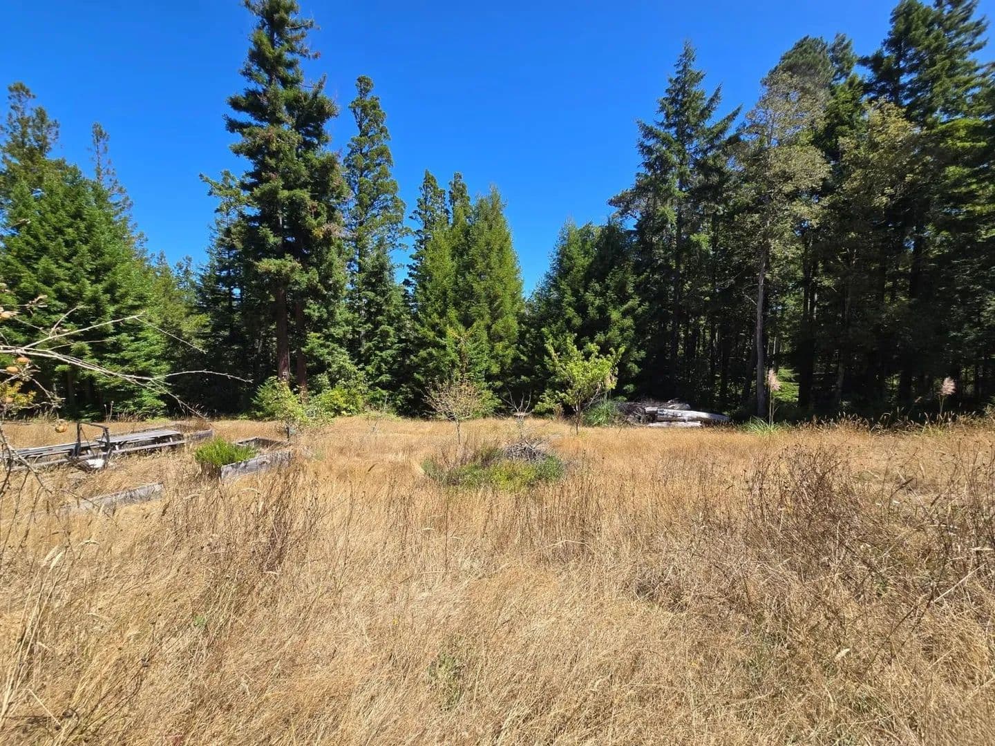 Vacant Land in Point Arena - Point Arena, California, 95468
