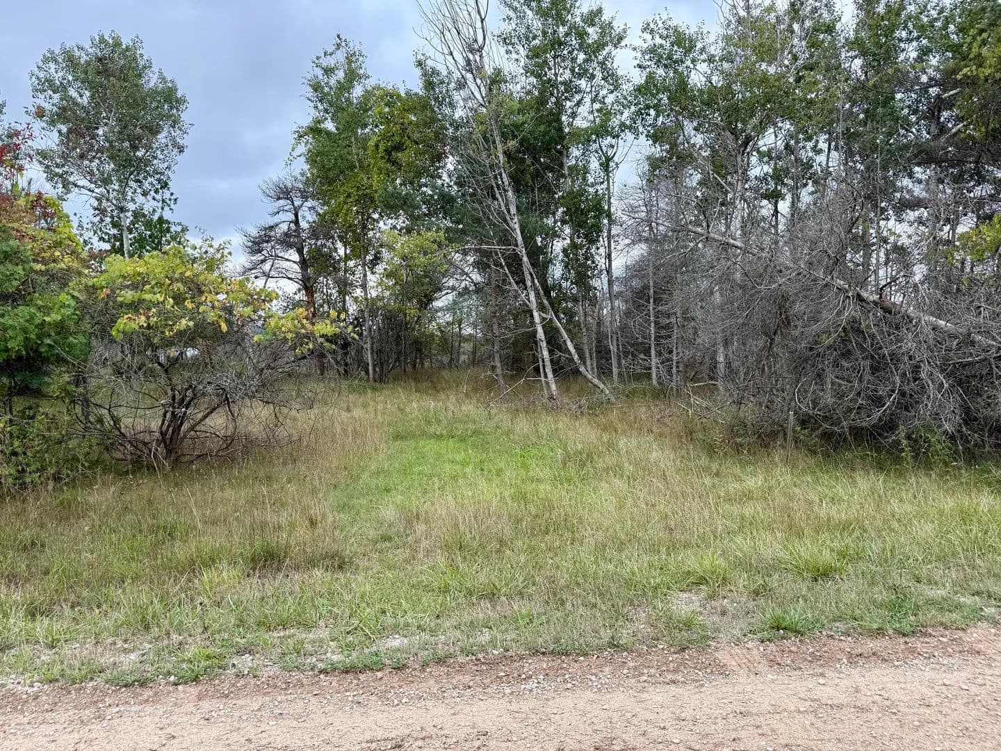 Vacant Land in Onekama - Onekama, Michigan, 49675