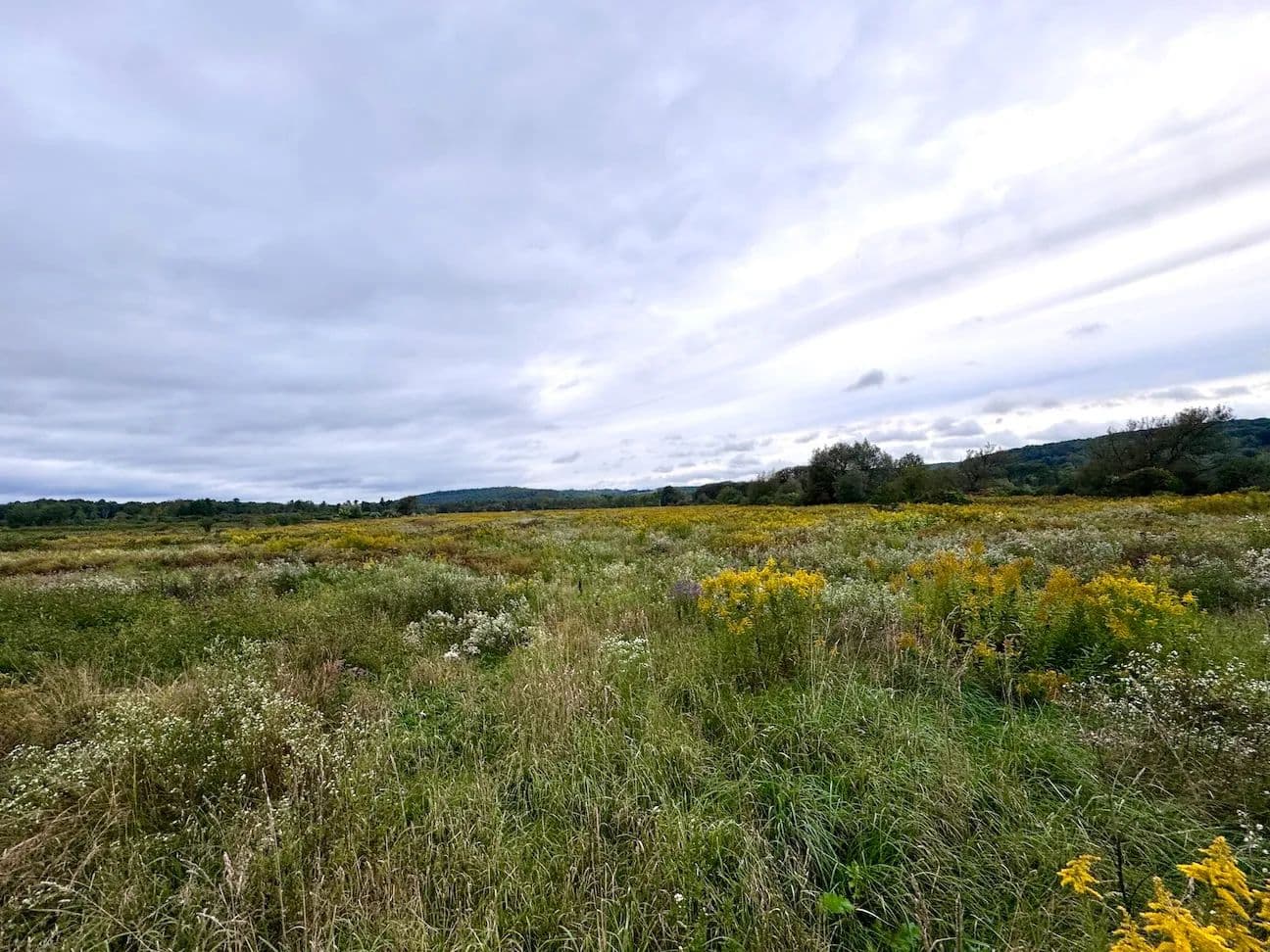 29 acres Recreational Land and Farmland on Black Creek in New Hudson NY Hyde Flats Rd - Black Creek, New York, 14714