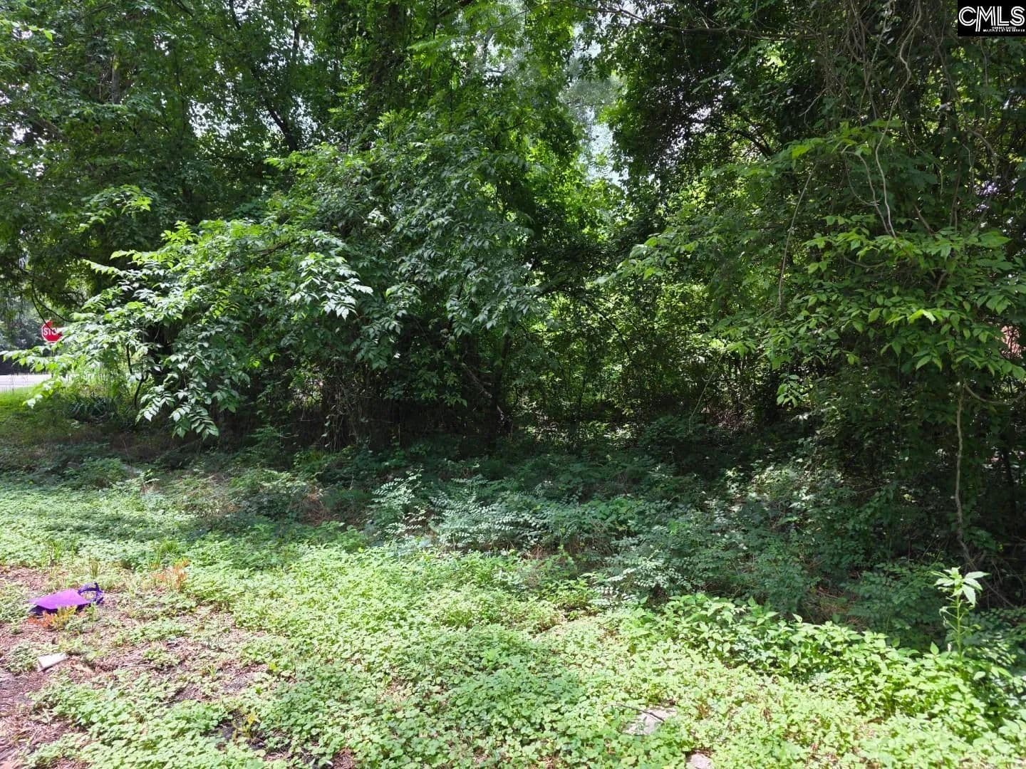Vacant Land in Columbia - Columbia, South Carolina, 29209