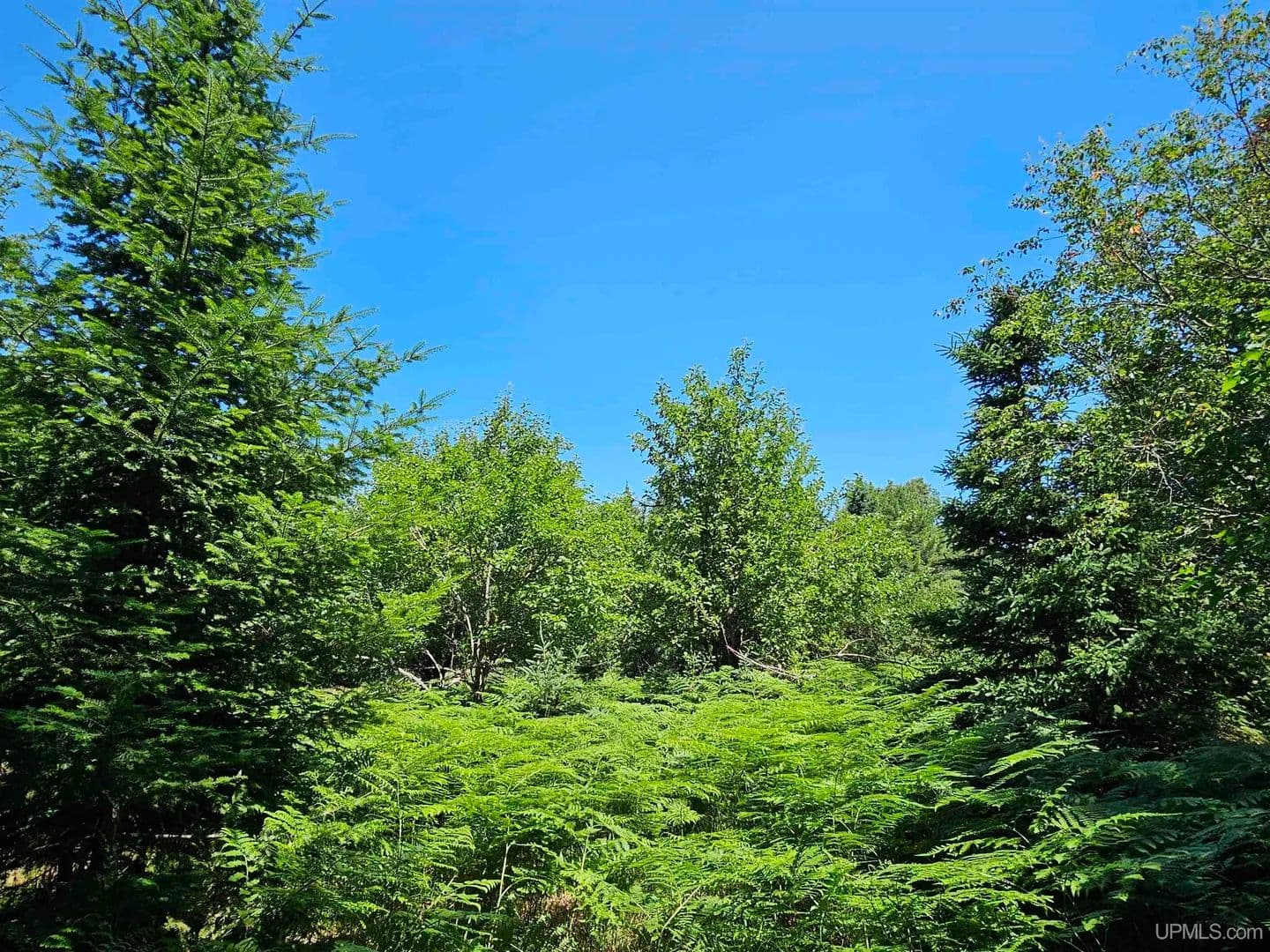 Vacant Land in Houghton - Houghton, Michigan, 49931