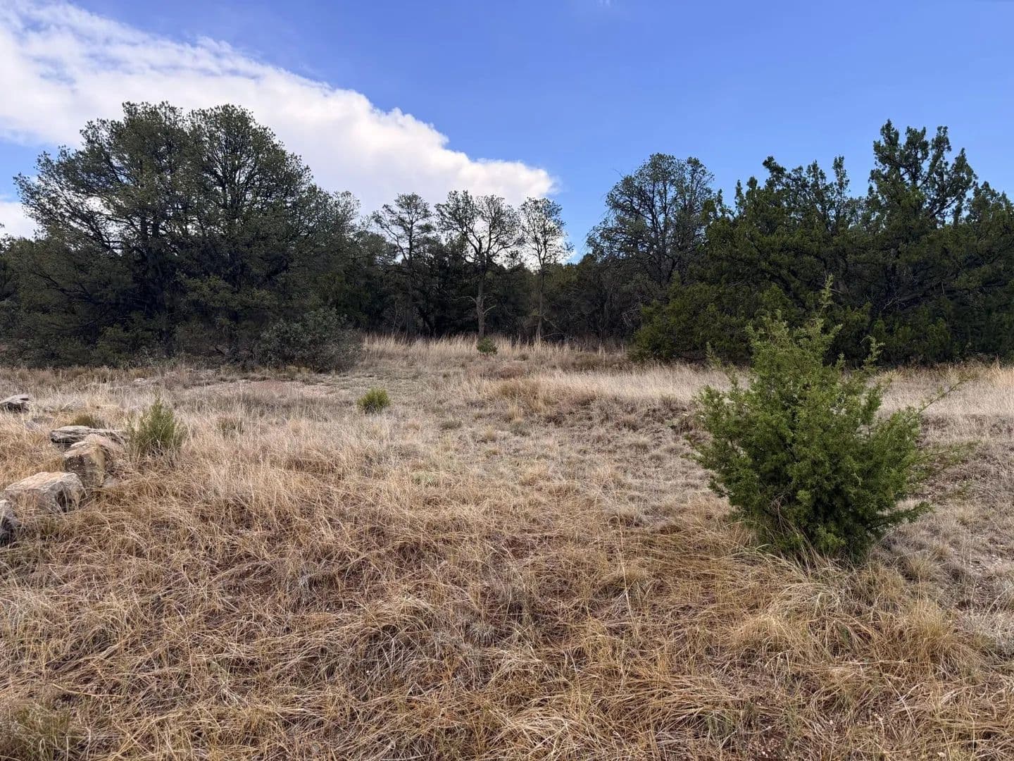 Land -Single Family Acreage in Edgewood - Edgewood, New Mexico, 87015