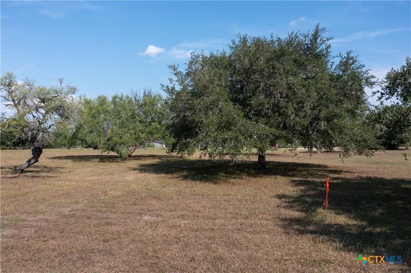 Vacant Land in Goliad