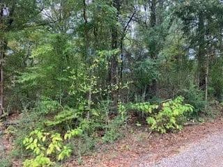 Property from TBD Lot 17 Westwood Drive - KW