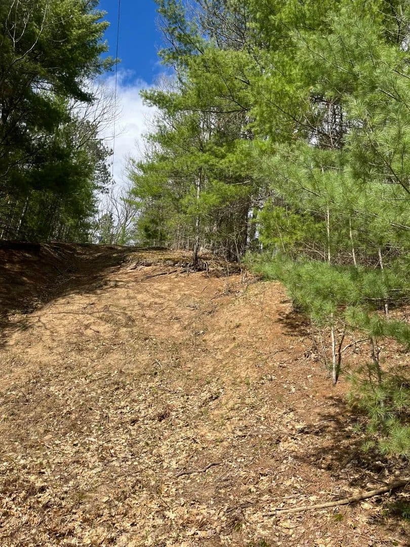 Lots & Land-Other in Kalkaska
