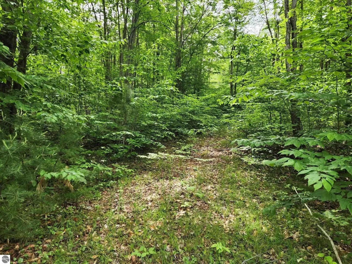 10 Acres of Land for Sale in Kalkaska, MI - Kalkaska, Michigan, 49646
