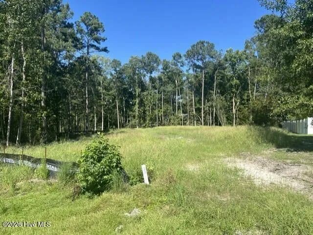 Vacant Land in Stella - Stella, North Carolina, 28582