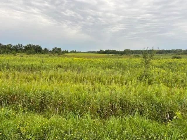 Vacant Land in Whited Twp
