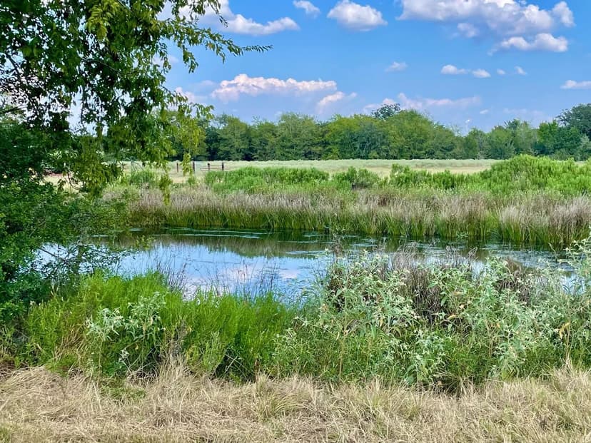 Property from TBD Pleasant Grove Road - KW