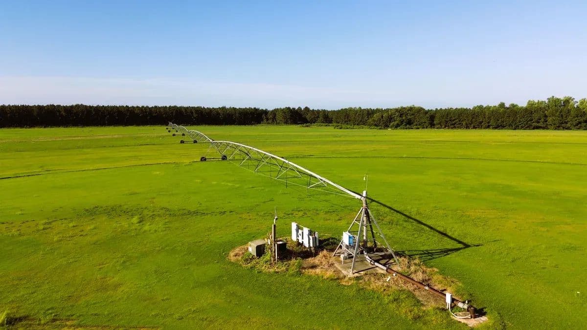 Southeastern Turf Grass Farm - Cooperville, Georgia, 30467