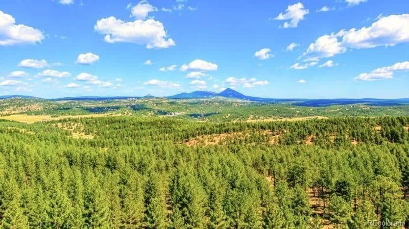 0.83 Acres of Land for Sale in Florissant, CO - Florissant, Colorado, 80816