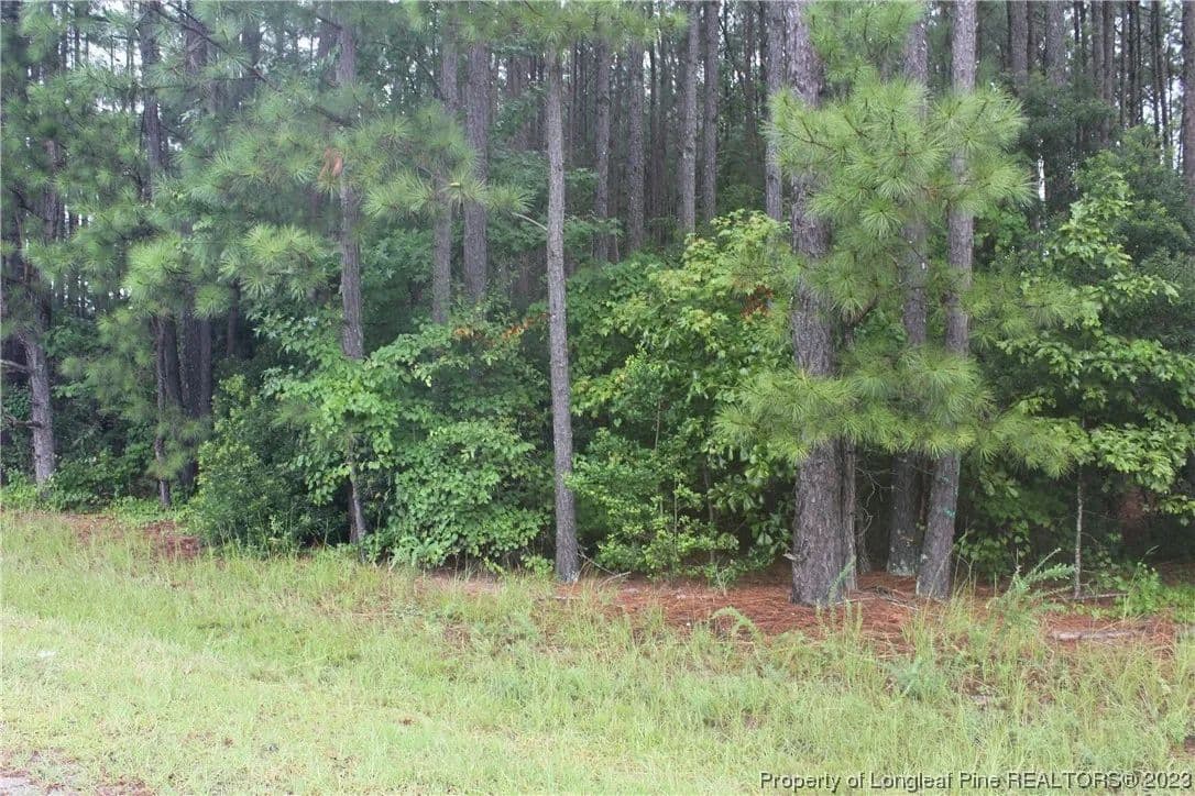 Lots & Land-Other in Sanford - Sanford, North Carolina, 27330