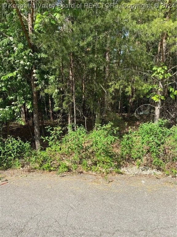 Lots & Land-Other in Elkview