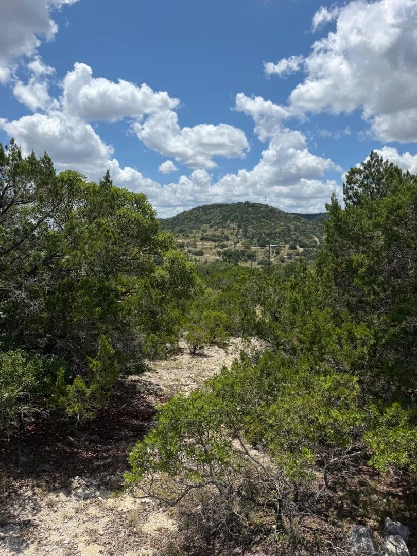 Madrone Ridge - Pipe Creek, Texas, 78063
