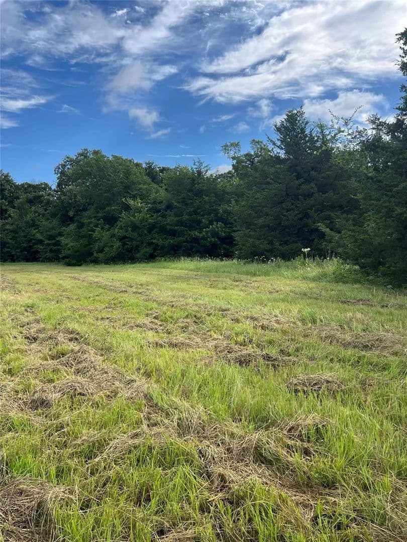 Vacant Land (10+ Acres) in Sulphur Springs - Sulphur Springs, Texas, 75482