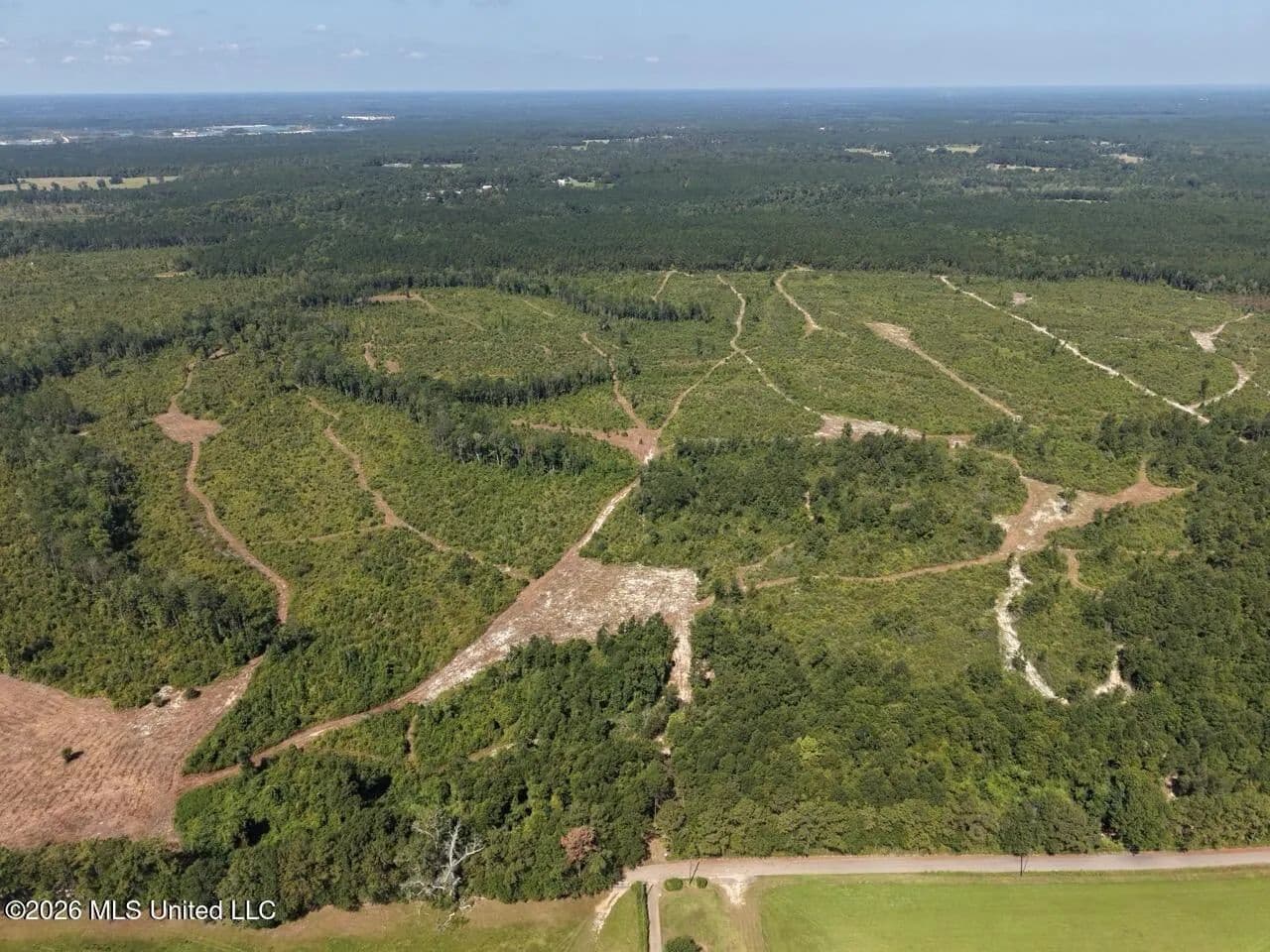 42± Acre Homesite & Hunting Land in Plainview, LA - Bogalusa, Louisiana, 70427